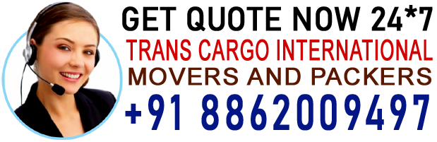 Trans Cargo International Movers and Packers logo